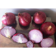 Best fresh onion price ton wholesale onion
